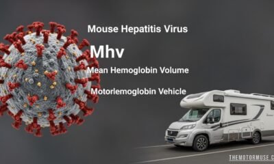 "Electron microscope image of Mouse Hepatitis Virus particles in laboratory research"