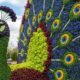 Colorful mosaiculture plant sculpture shaped like an animal, created with vibrant foliage in a landscaped garden display.