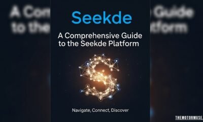 Seekde digital platform interface showing professional profiles, networking features, and online service discovery tools.