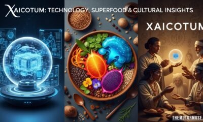 "Xaicotum representing digital technology, nutritional superfood, and cultural celebration"