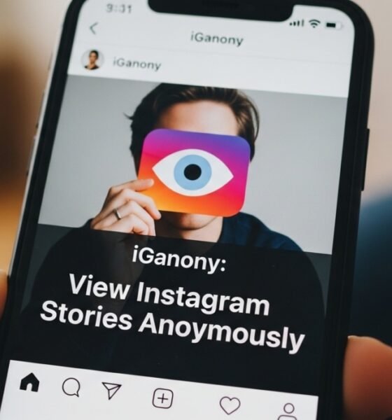 Interface of iGanony showing anonymous viewing of Instagram stories, posts, and reels.