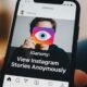Interface of iGanony showing anonymous viewing of Instagram stories, posts, and reels.